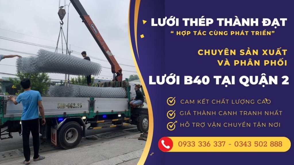 lưới b40 tại quận 2